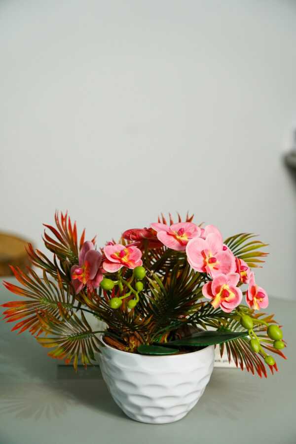 Delicata Mini Orquídea Rosa