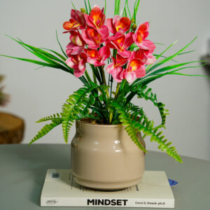 Init Orquídeas Cymbidium Rosa