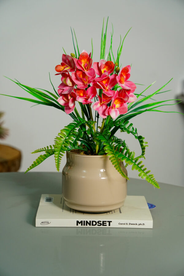 Init Orquídeas Cymbidium Rosa