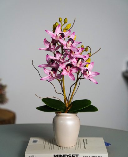 Delicata Cymbidium Lilás
